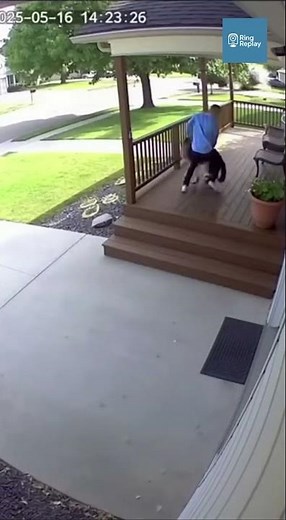 German Shepherd Pulls Owner Away Seconds Before Violent Truck Crash