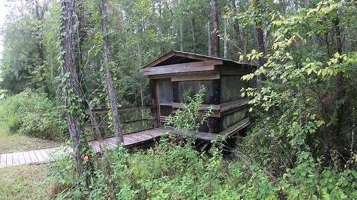 2.1K views · 24 reactions | Exploring The General James A. Van Fleet State Trail https://www.youtube.com/watch?v=9lT0Dk1WQyw&t=224s | Florida Trailblazer | Facebook