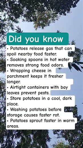 Potato Storage & Kitchen Tips