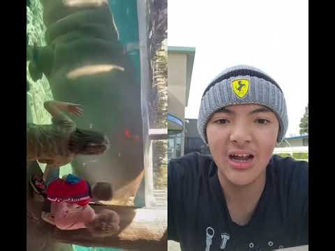 when I see hippo poop under water