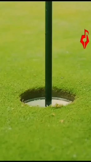 Swang - Rea Sremmurd 🎶🔥 #fypdongggggggg #fypシ#2m #3m #summer #song #tiktok #lyrics #4k #pr4xliving #reasremmurd #swang #old #1m #FilmTeyvatIslands