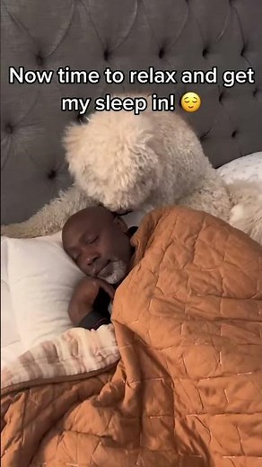 It's a party allll day at my house (especially when I'm trying to sleep!)