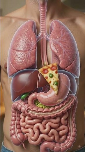 What Happens If You Eat Pizza? 🍕⚠️ | Shocking Health Facts 🤯