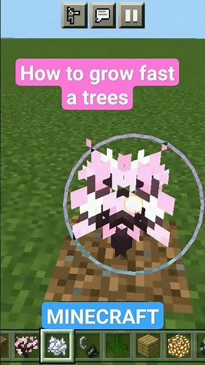 How to grow fast your trees (in minecraft) #minecraft #trees #growfast