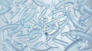 Probiotic Bacteria Lactobacillus 3d Animation Stock Footage Video (100% Royalty-free) 3511834401 | Shutterstock