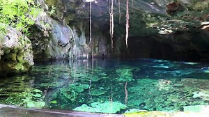 Download Cenote Minotauro park with limestone rocks turquoise water and nature Mexico. for free