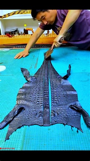 Crocodile belt