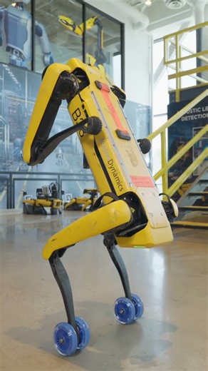 This robot dog has better moves than most action heroes #RobotDog #FutureTech #Robotics #AI