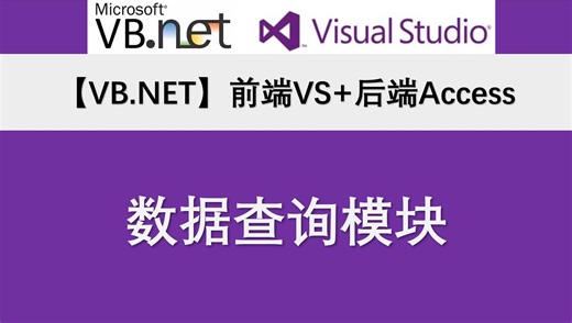 【VB.NET】前端VS+后端Access数据库：数据查询显示记录模块制作和代码讲解 Visual Basic