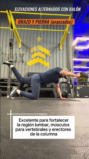De la Rehabilitación al Rendimiento: Ejercicios Lumbares #ciatica