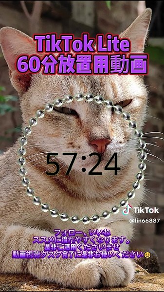 TikTok Lite 60分放置用動画 ，TikTok Lite TikTokライト用音無し放置動画 画面を長押し 再生速度0.5倍にしてください フォロー、いいね、集めオ・ ススメに流れやすくなります。 是非ご活用くださいませ 動画視聴タスク完了に是非お使いください☺☺️#180 #放置用動画ラックス #放置用動画 #方法 #fyp #花火 #長時間動画 #無音 #癒し #放置 #tiktoklite放置用動画 #放置用動画tiktok #レコメンド載りたい #おすすめ #リラックス #recommendations #おすすめにのりたい #ポイ活 #TikTok #60分動