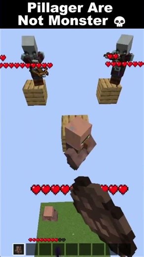 Pillagers Are Not Monster 💝🩹