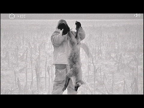 2022 Coyote hunting montage. Full version
