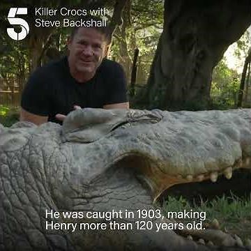 World's oldest crocodile