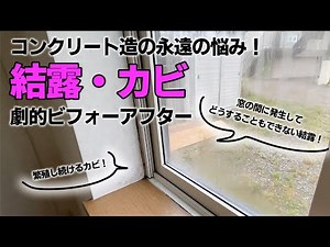 【検証】コンクリート造の家で結露とカビ改修したらめちゃくちゃ綺麗になった！快適に暮らすための改修のポイントは？