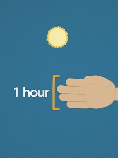 Your Fingers Are Actually a Clock: Discover the Science