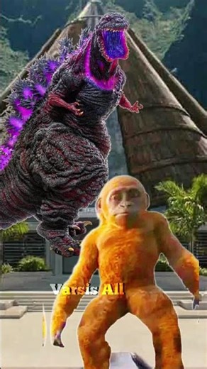 Shin Godzilla vs Godzilla x kong the new empire