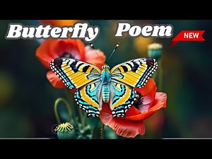 Butterfly Dance for Kids 5