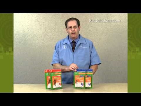 PetSolutions: WormXPlus De-Wormer Chewables