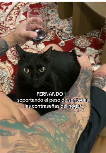 Exploring Pollos Mario and Zapi Restaurant Locations