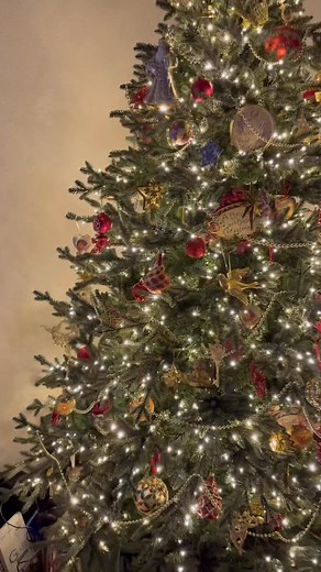 I got all of my decorating done at home this week, and wanted to share my main living room tree! (This is Monica😁🎄) I am loving the twinkling lights on it! (FYI-we do not have any of the ornaments for sale that are in this tree. I just wanted to post it for fun! 😊❤️) I hope that you all have a wonderful weekend! #Christmas #tree #festive #decor #beauty | Andrews Seed Co.