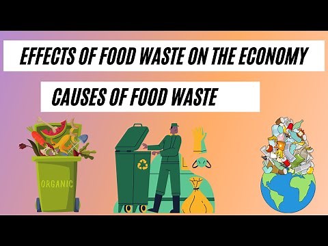 What are the Effects of Food Waste on the Economy of a Country | Causes of Food Waste