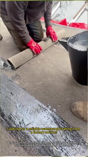 Effective Waterproofing for Roofs and Basements