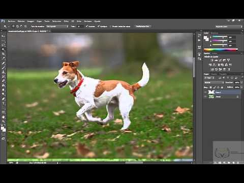 TUTORIAL PONER IMAGEN DENTRO DE OTRA CON PHOTOSHOP