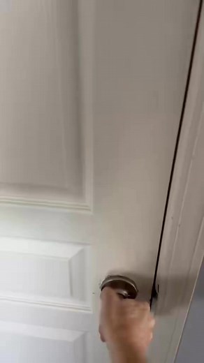 123K views · 928 reactions | To find a creature in your window well is scary enough. But to have it staring right at you? Chilling. Looks like everything wants to get in to my Star Wars basement. #starwars #starwarsroom #starwarsfan #starwarsnerd #starwarsbasement #starwarscollector #starwarscollection #starwarscelebration | Dadofxander | Facebook