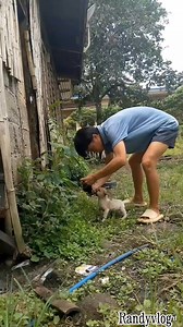 3.4K views · 143 reactions | Simple edit lang Mobile videography # #mobilevideoediting | Randyvlog | Facebook