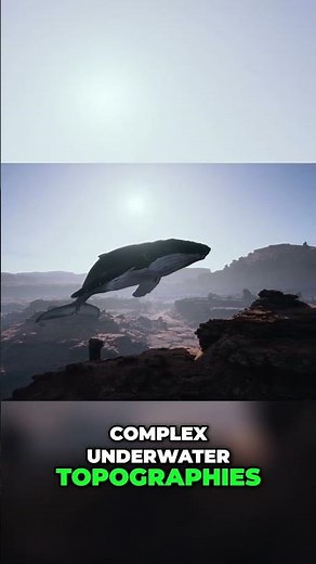 Whales' Secret: Echolocation for Survival & Hunting #shorts