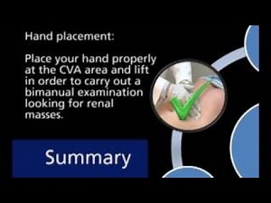 Urology - Abdominal Exam
