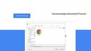 Download Button With Countdown Timer Using HTML & JavaScript