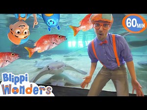 Blippi Visits an Aquarium! | Blippi & Blippi Wonders Educational Videos for Kids - Videos For Kids