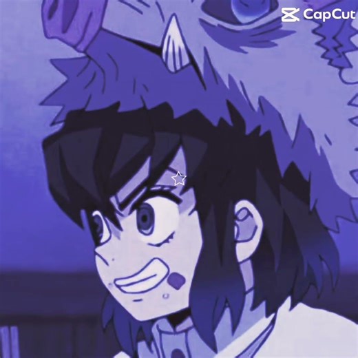 The theme is #demonslayer #oshinoko #cook