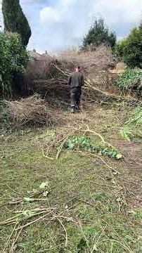 Can you help with a fallen tree? #gardening #explore #tree #lawncare