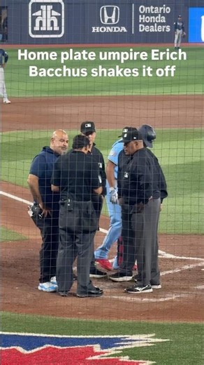 Home plate umpire Erich Bacchus shakes it off after taking a foul ball off the face mask from Vladdy