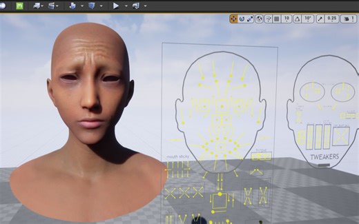 MetaHumans 使用自定义模型，程序化绑定，DNA编辑