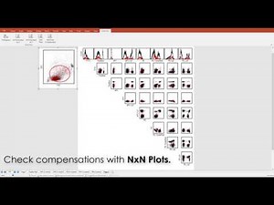 Compensation (Short video)