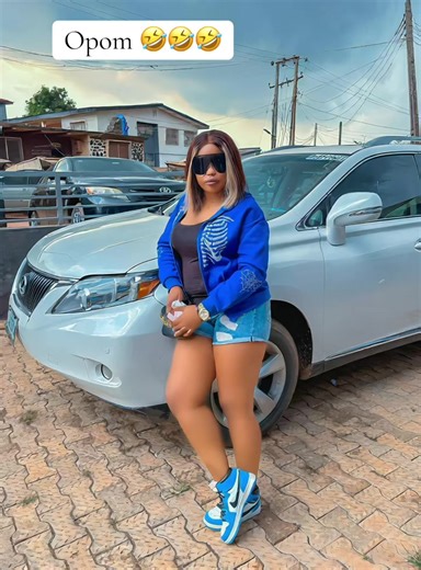 Fast Forward Remote Fun with Dolphins