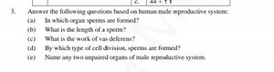 3. Answer the following questions based on human male reproduct... | Filo
