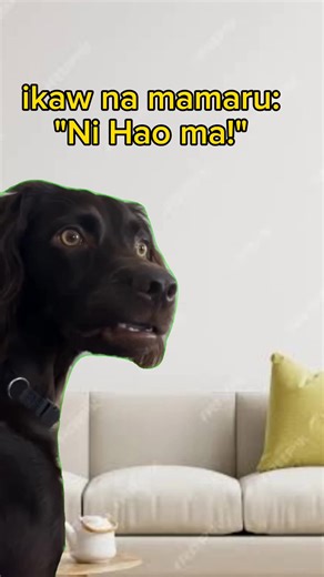 7.7K views · 140 reactions | Teacher: "I can speak a little mandarin, Ni hao ma! " Student........ | Eslteacherknows | Facebook