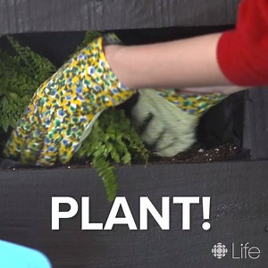 14K views · 193 reactions | Use a pallet to DIY this vertical planter! | Balcony Garden Web | Facebook