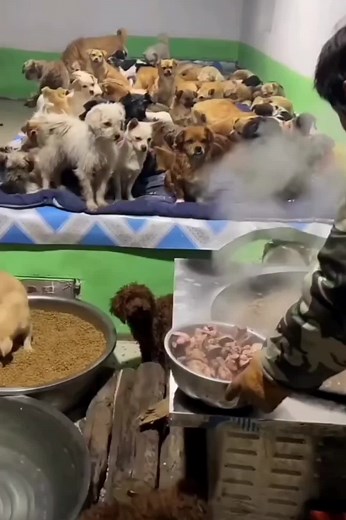 chainavideo on TikTok