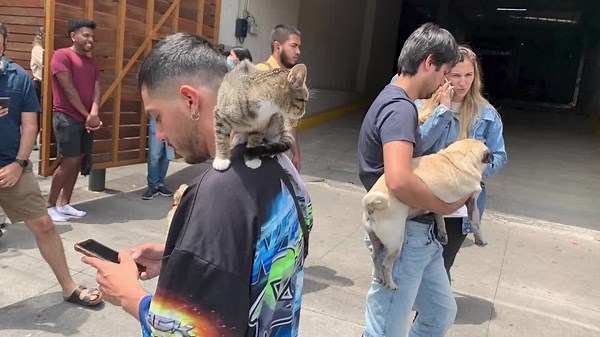 Powerful earthquake hits Mexico on fateful anniversary, killing at least 2