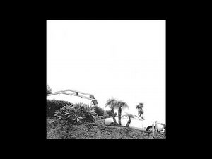 Timber Timbre - Curtains?!