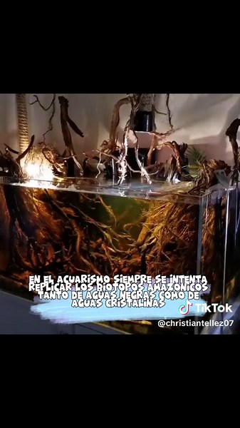 Biotopos y Biocenosis en Ecosistemas Acuáticos