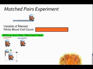 Matched Pairs Experiment ( Video ) | Statistics