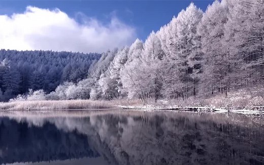 美丽的冬季雪景高清视频素材