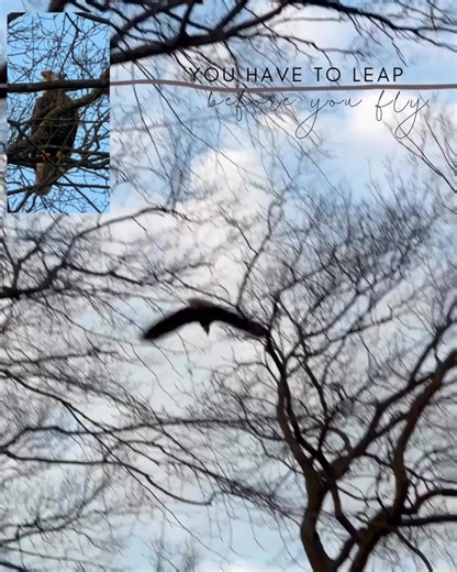 What kind of Bird 🦅? Squirrel 🐿️ I woke up this morning with my mind stayed being victorious #@Michelle&Faith&HopesMOM